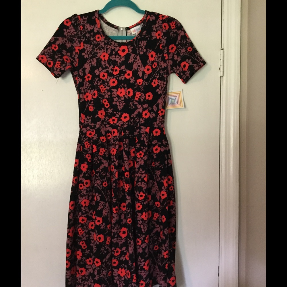 NWT LulaRoe Amelia Dress
