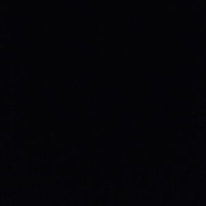 Meet your Posher, Bailey