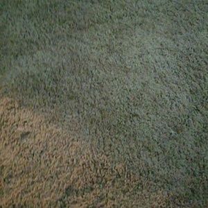 Meet your Posher, Yanicka