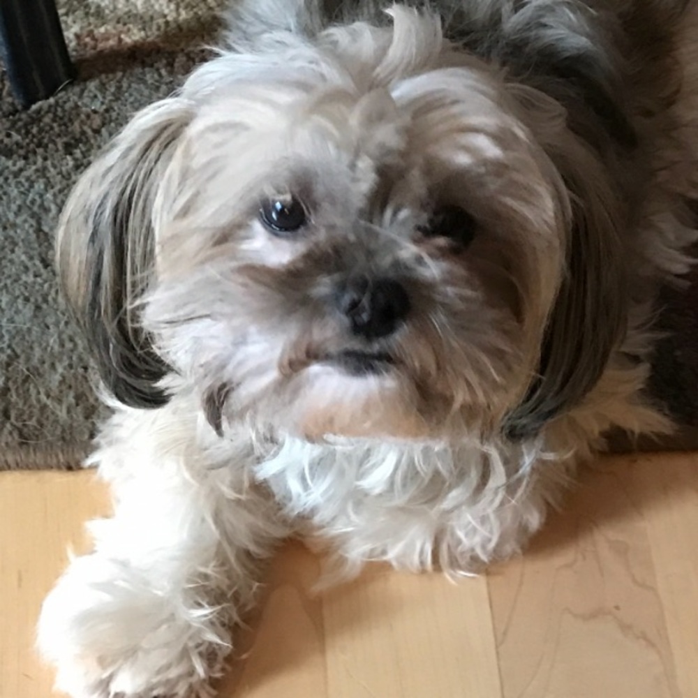 Meet your Posher, Wendi