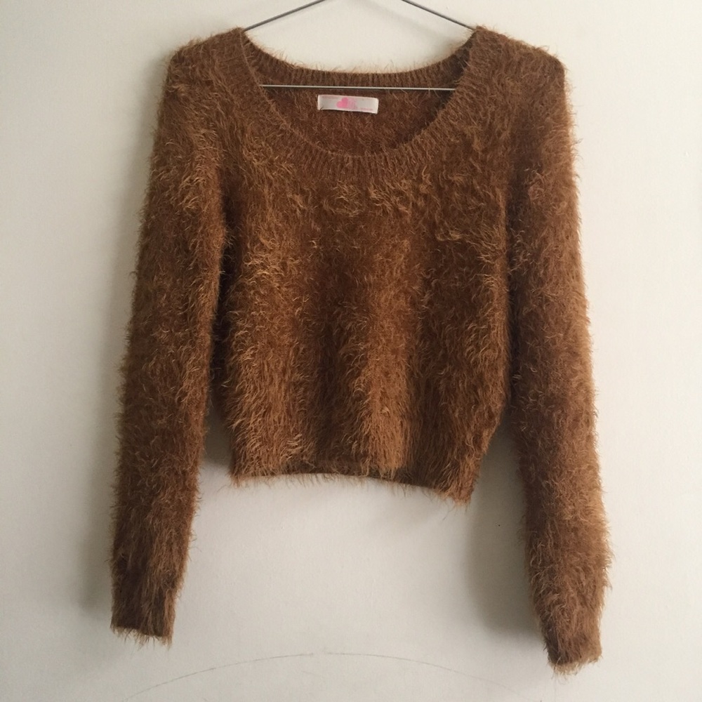 American Apparel fuzzy cropped sweater