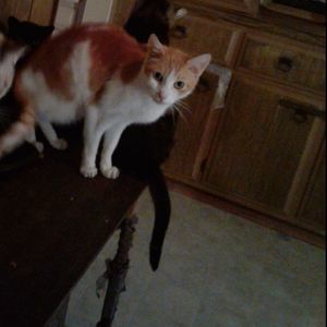 Meet your Posher, Mary