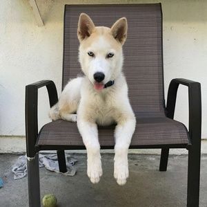 Meet your Posher, Jeremy