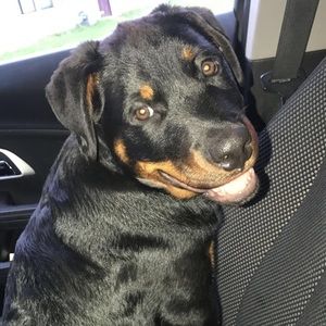 Meet your Posher, Josiah