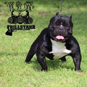 Meet your Posher, Marco