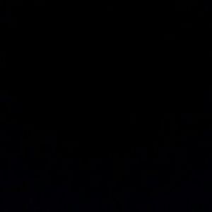 Meet your Posher, Jade