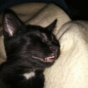 Meet your Posher, Sada