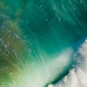 Meet your Posher, Ty