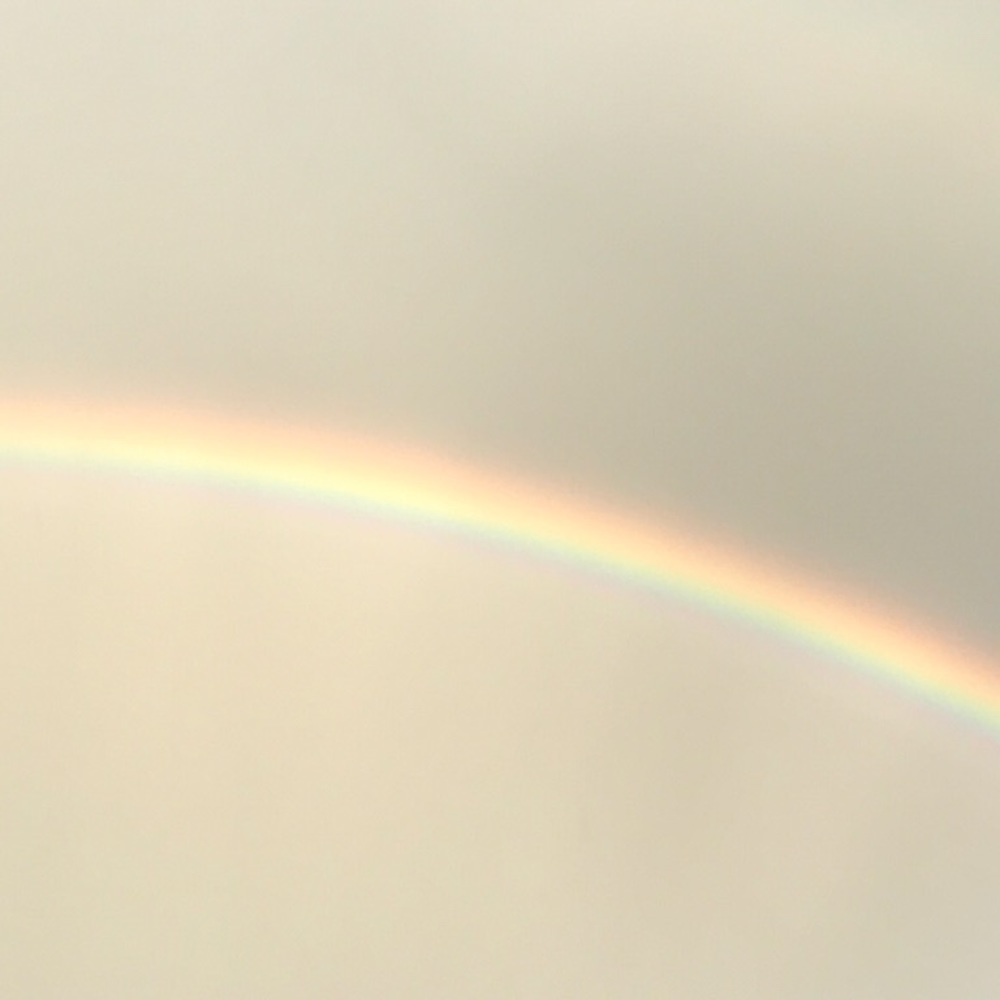 Meet your Posher, Macie