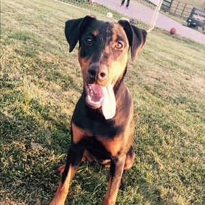 Meet your Posher, Brianna