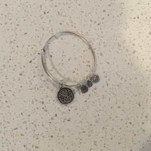 Alex and Ani Path of Life Bracelet