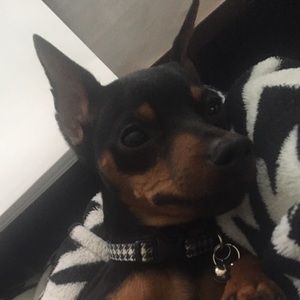 Meet your Posher, Nancy