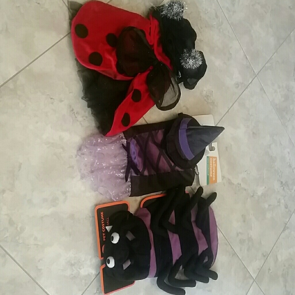 New Halloween dog costumes spider, ladybug, witch