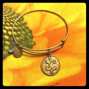Alex and Ani bangle bracelet