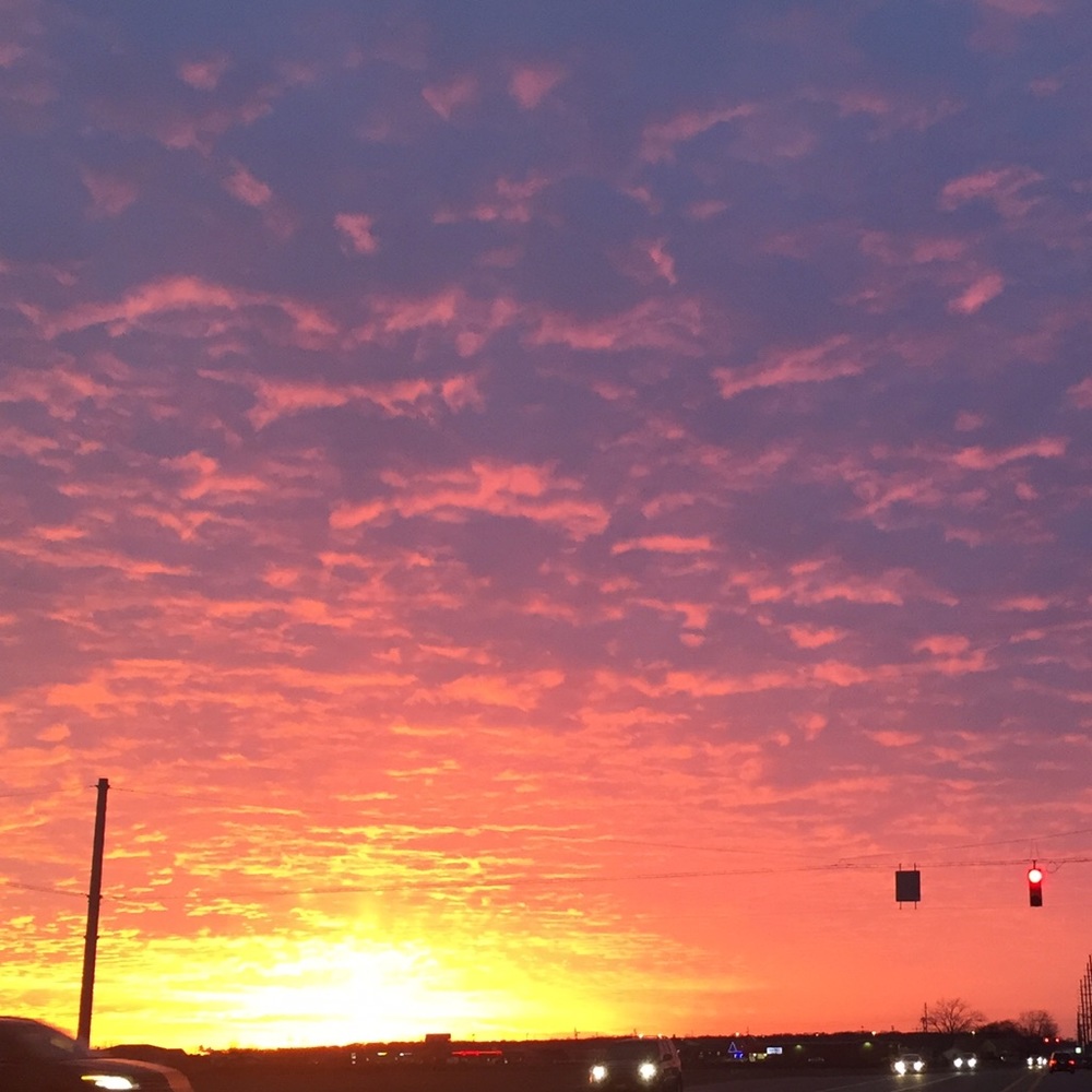 Meet your Posher, Molly