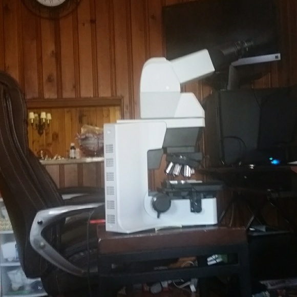 Meet your Posher, Muhammed - Picture 1 of 1