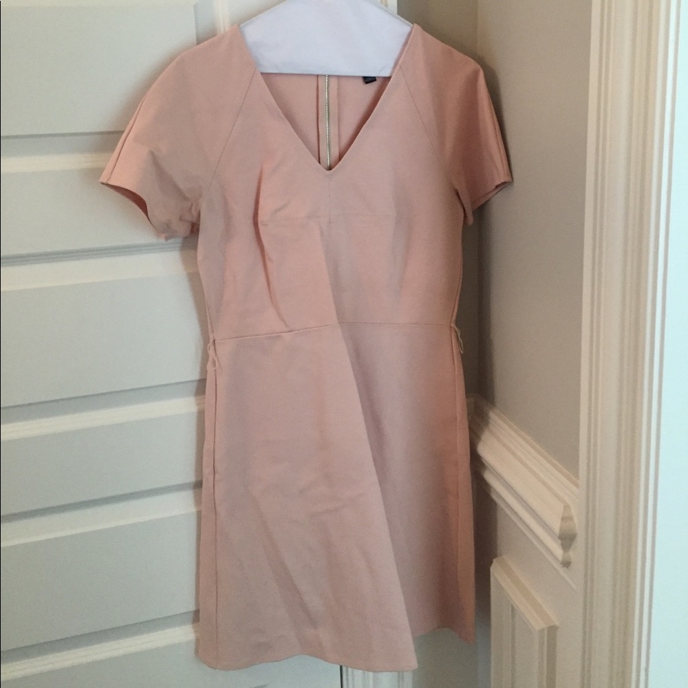 Ann Taylor Blush Dress