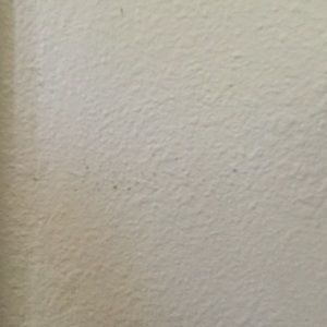 Meet your Posher, Bernice