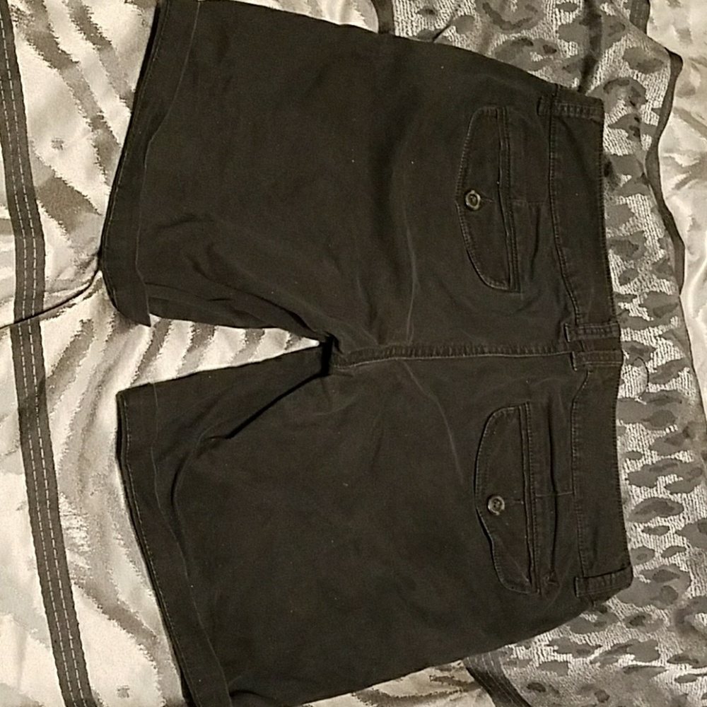 American eagle - Picture 3 of 4