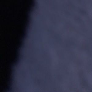 Meet your Posher, Roy