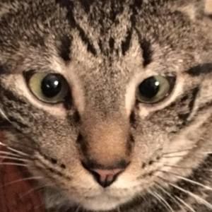 Meet your Posher, Ellen