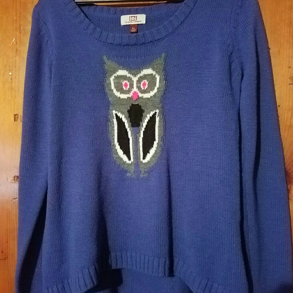 Blue owl sweater
