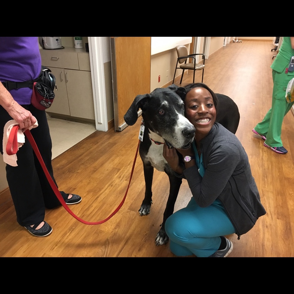 Meet your Posher, Devin