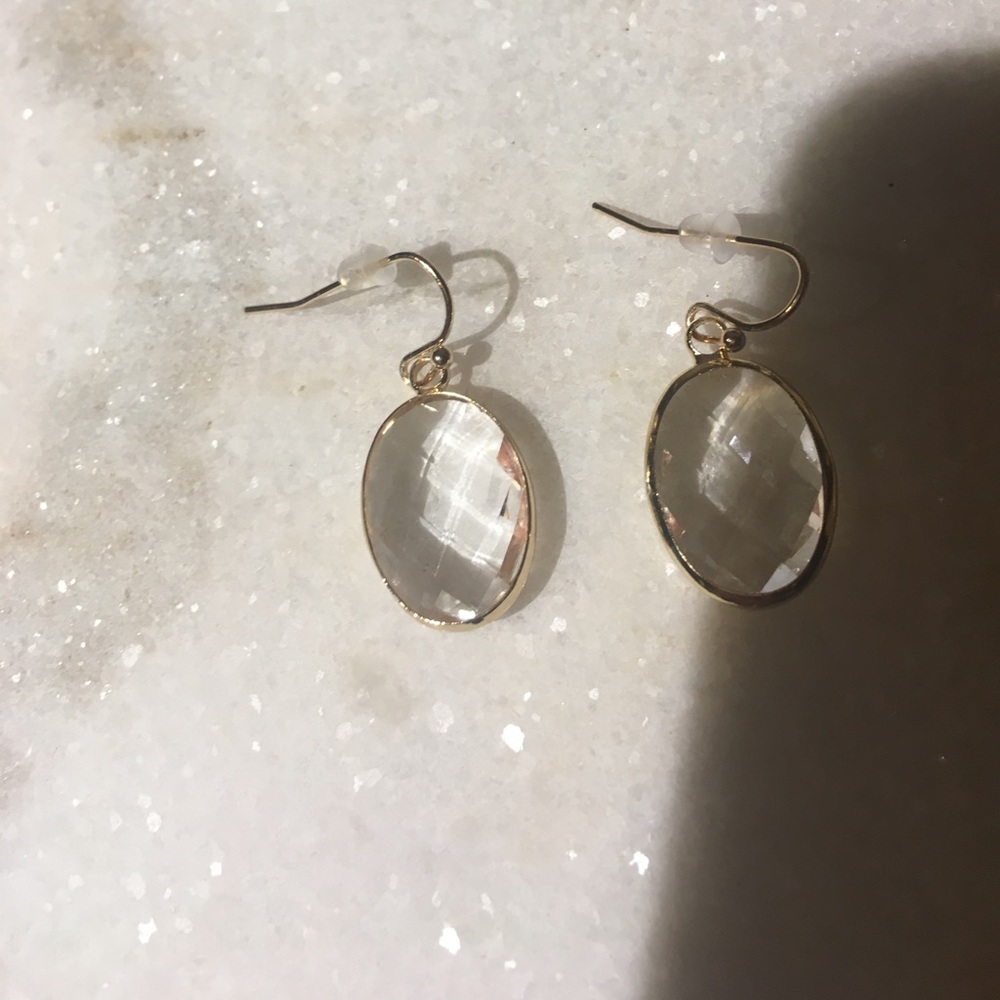 Oval clear crystal drop earrings