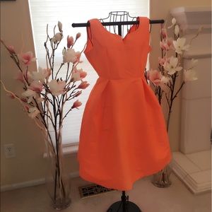 NWT Day & Night, Fit n Flare Cocktail Dress