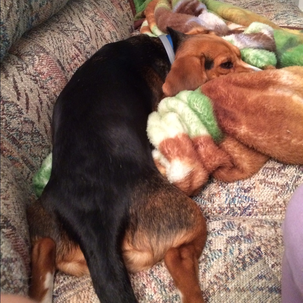 Meet your Posher, Destiny