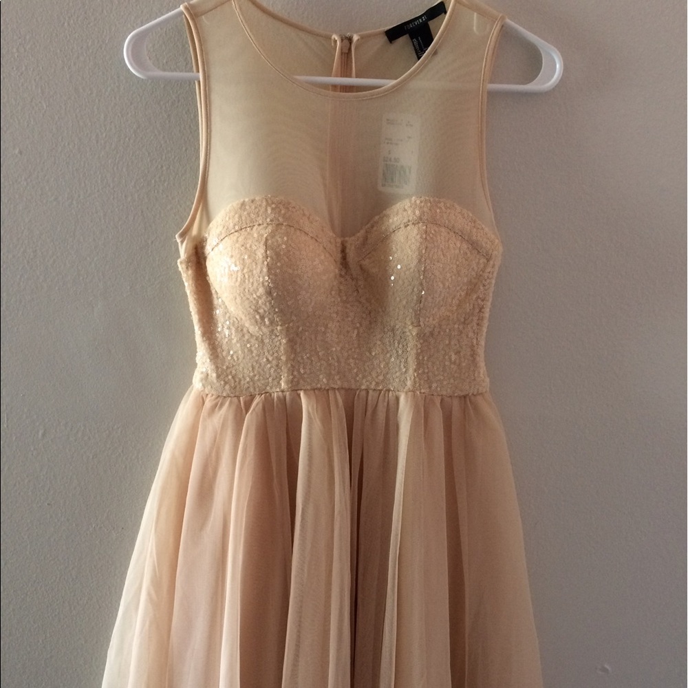 Forever 21 Champagne Mesh/Sequin/Tulle Party Dress