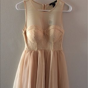 Forever 21 Champagne Mesh/Sequin/Tulle Party Dress