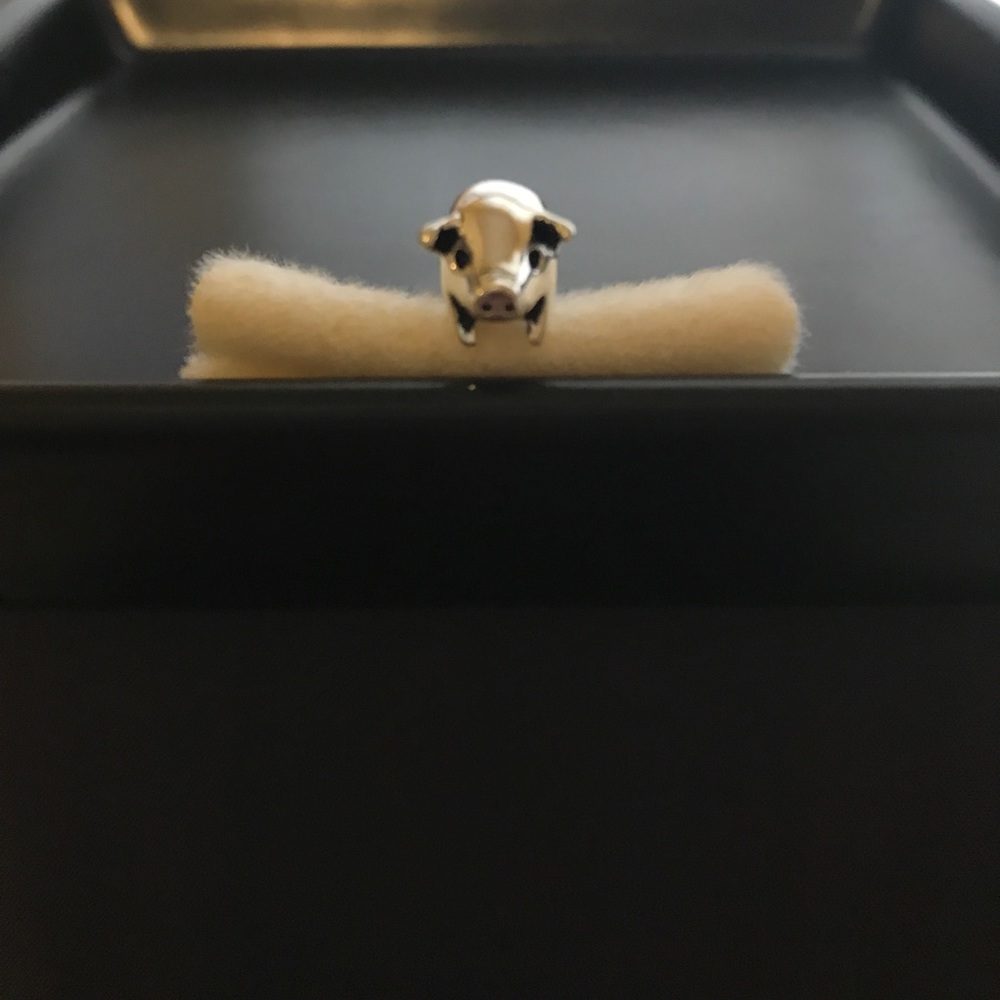 Piggy charm