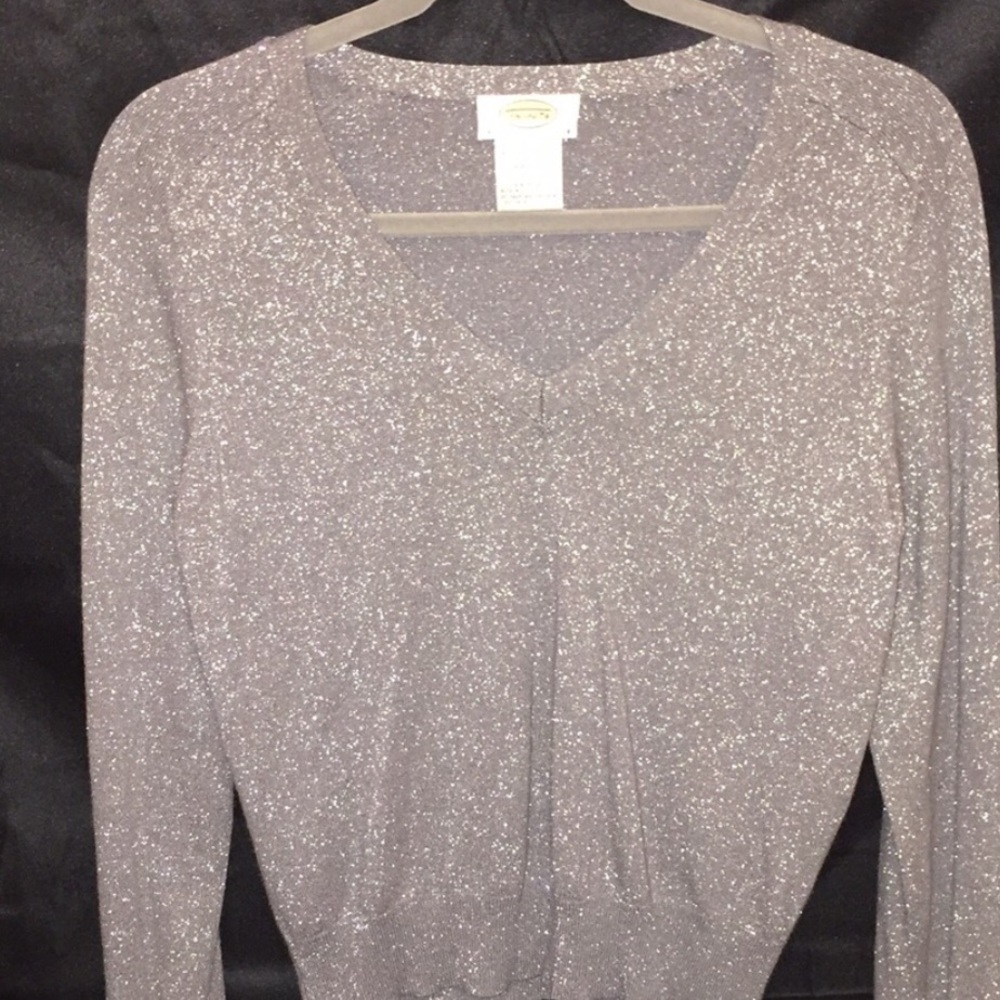 Silver sparkly sweater