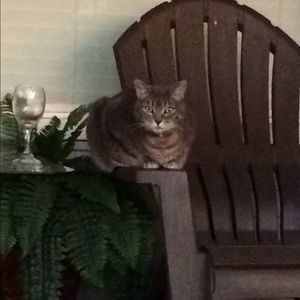 Meet your Posher, Kim