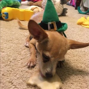 Meet your Posher, Suzanne