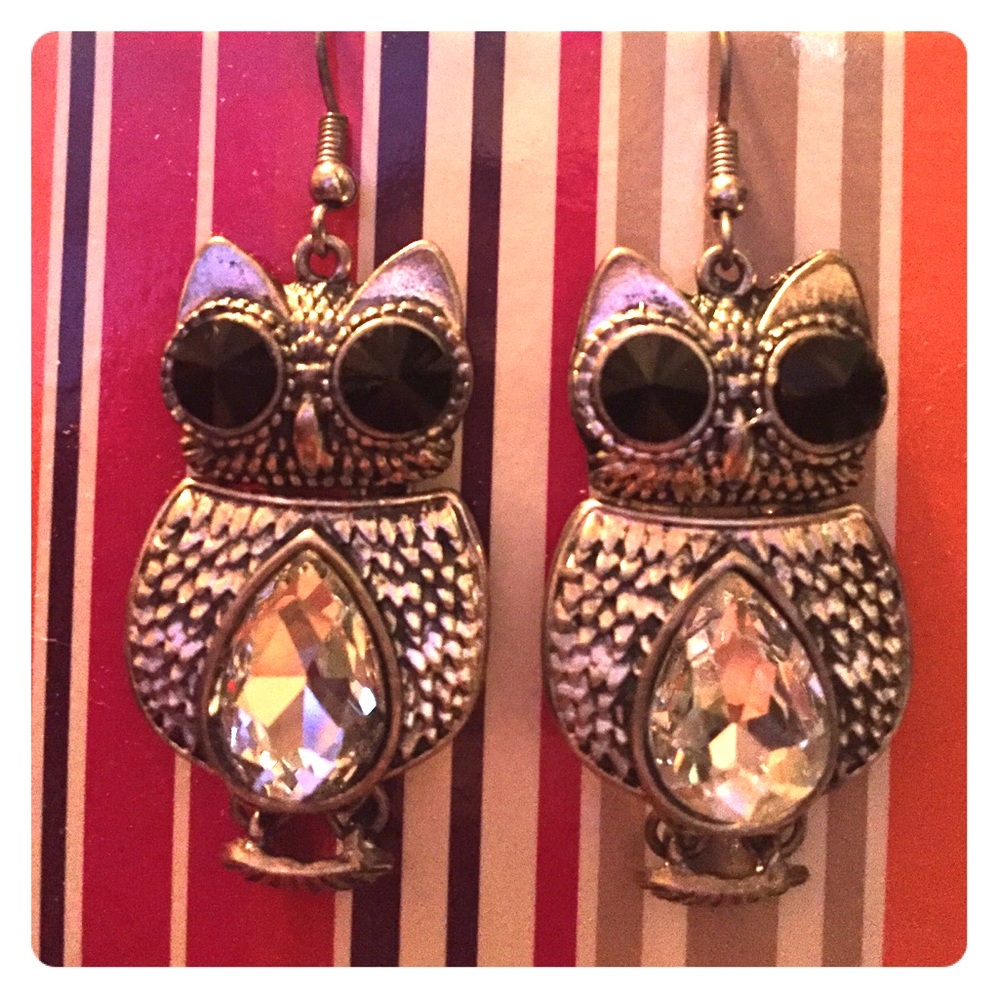 Silver & Black Owl Earrings