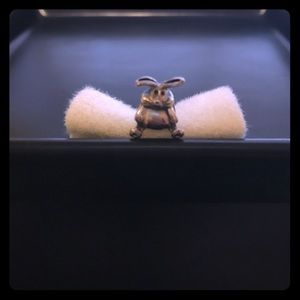 Bunny charm