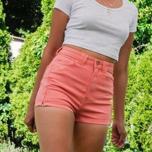 American Apparel HighWaisted Zip Shorts