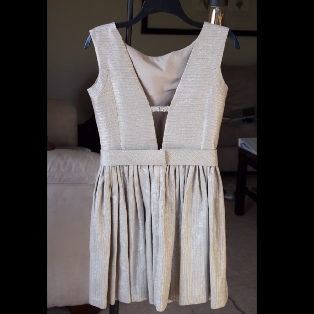 Contrarian NY Birdie Bow Dress -- Taylor Swift - Picture 6 of 6