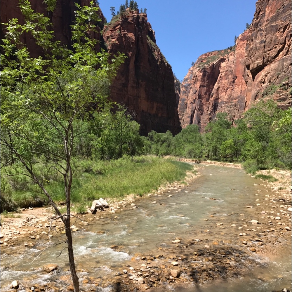 Meet your Posher, Cecilia