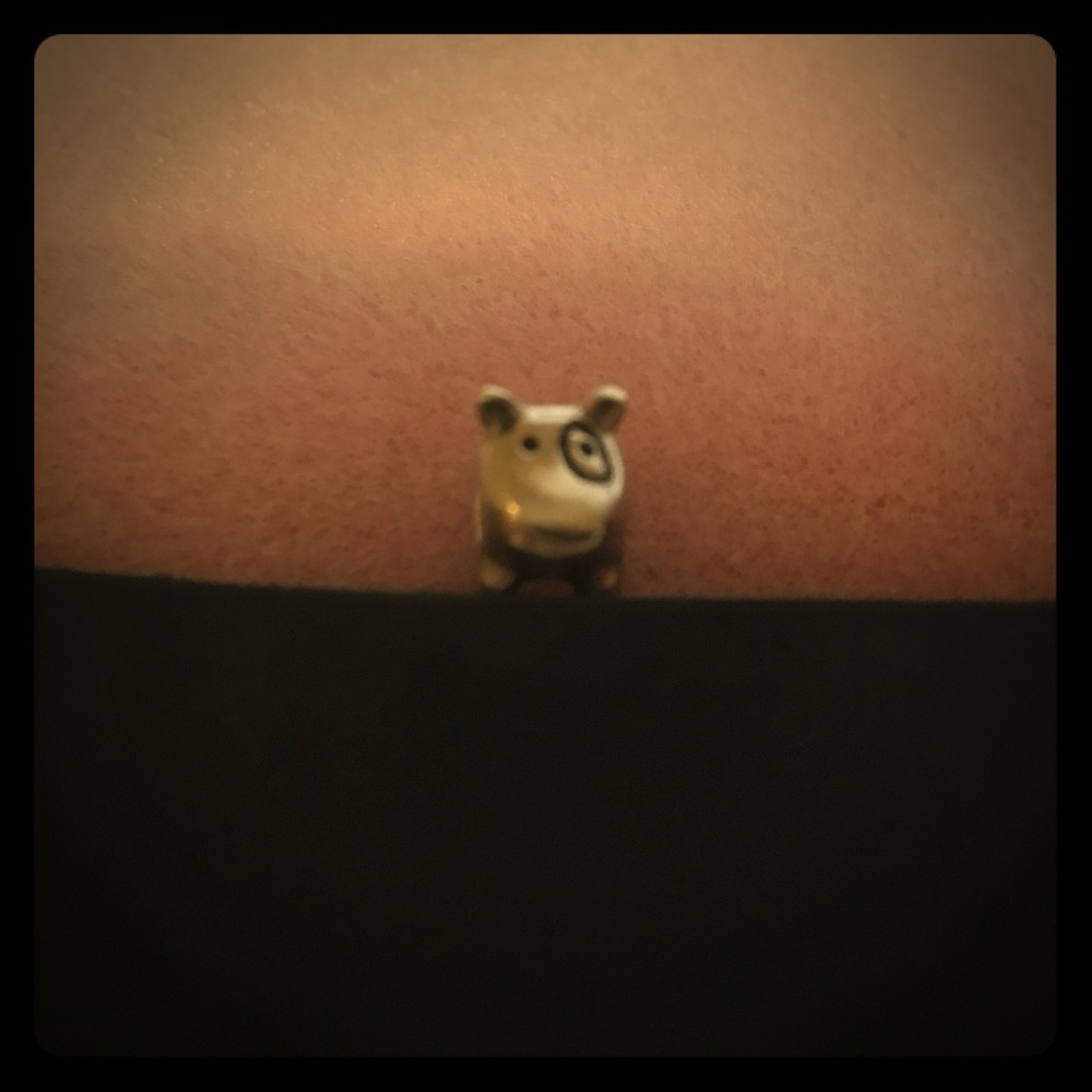 Doggie charm