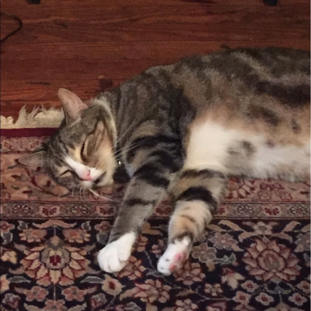 Meet your Posher, Marianne