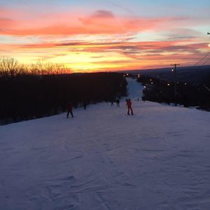 Meet your Posher, Ernie