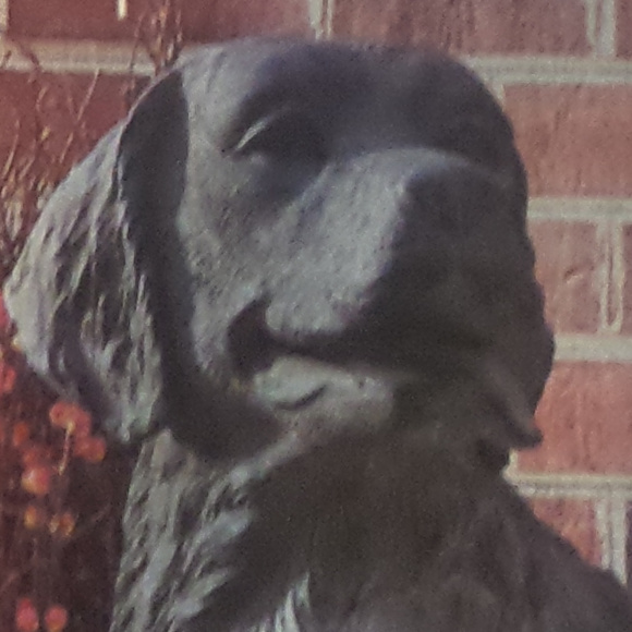 Meet your Posher, Angela - Picture 5 of 6