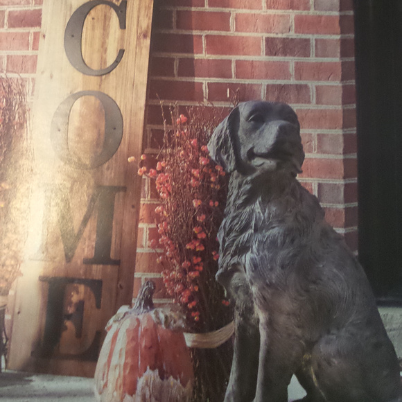 Meet your Posher, Angela - Picture 4 of 6