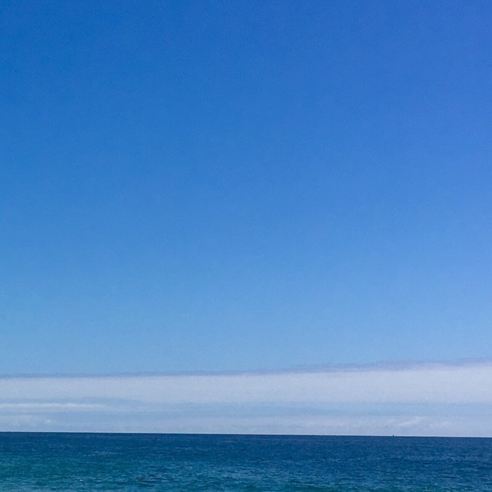 Meet your Posher, Savanna