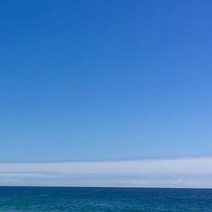 Meet your Posher, Savanna