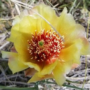 Meet your Posher, Haylie