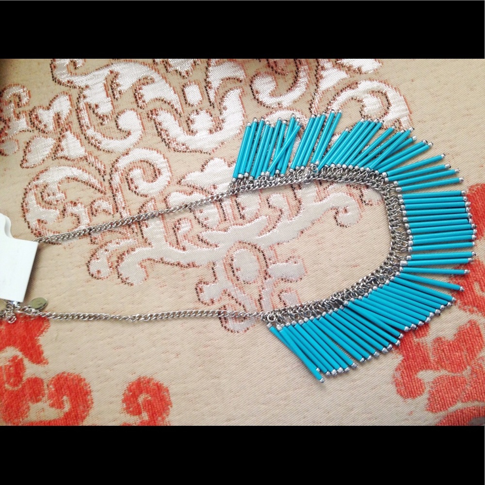 🐠 Fringe Style Necklace